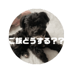 nao_20250226012715