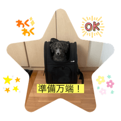 takashi_20250225170212