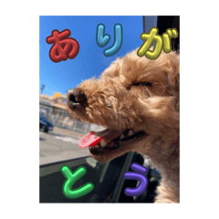 Ran_20250225171051