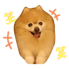 no_20250225185656