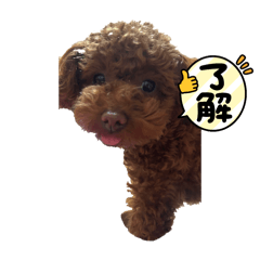 vivi_20250225210235