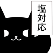 Anyway black cat3
