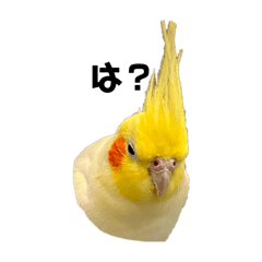on_20250225104516