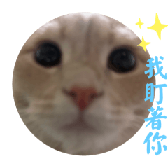 黃金暴龍-阿姨喜得嚕
