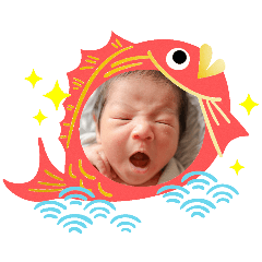 risa_20250225175246