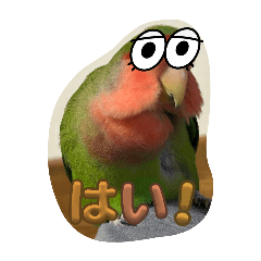 asa_20250225201437