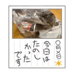 kazuki_20250225201732