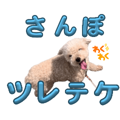aiueo_20250225230759
