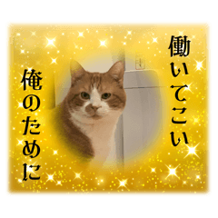 chacha_20250225231548