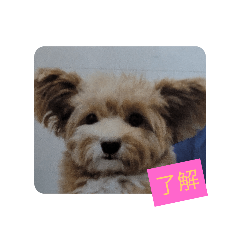 minako_20250225180128