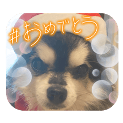 chibi_20250225202946