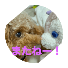 ICHI_20250225203705