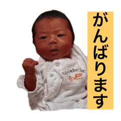 choco_20250225203631