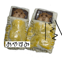 N_20250225221746