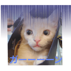 taka_20250226010326