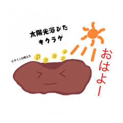 AKI_20250225130814