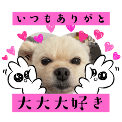 YJ_20250225220310