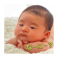 syo_20250226064508