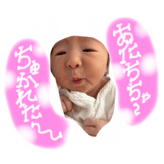 aoi_20250226072930
