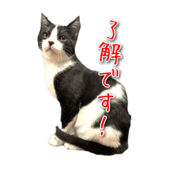 jun_20250226104100
