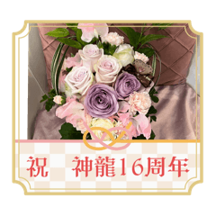 Shiro_20250226062026