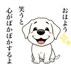 Haruru_20250225134941
