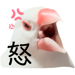 kaede_20250226081723