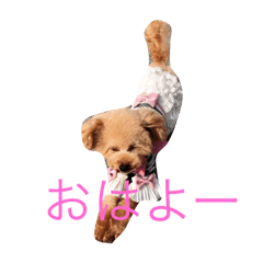 Vivian_20250225234205