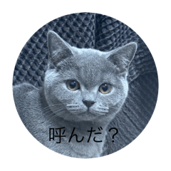 mm_20250225213343