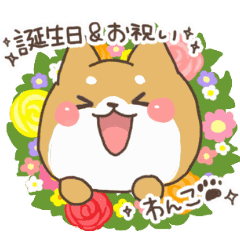 動く お誕生日 お祝いわんこ Line スタンプ Line Store