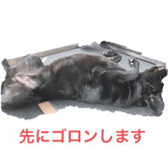 mayu_20250226085945
