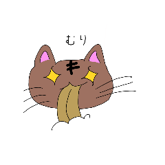 pi_20250226005726
