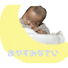 taem_20250226104536