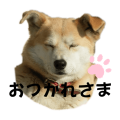 KAMUNA_20250226110947