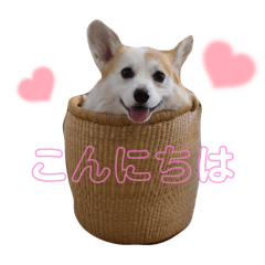 Miki_20250226115854