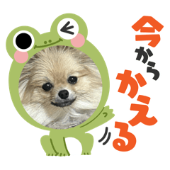 MANMARU_20250226123111