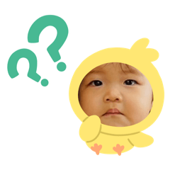 pocomo_20250226123753