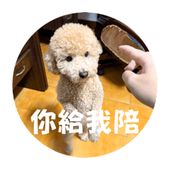 蔡呆寶寶寶寶