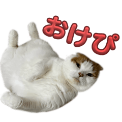 yuzu_20250226124356
