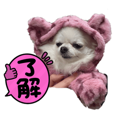 fshutanpu