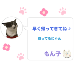 chan_20250225153049