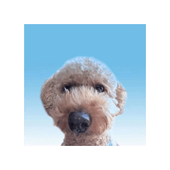peipei_20250226135128