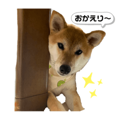 mugi_20250226135408