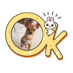 Unknownpin_20250226112135