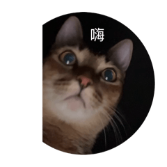 小耗子～