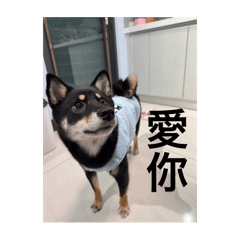黑胡椒2