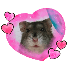 Double Moo-Hamster
