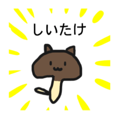 Shiitake mushrooms cat