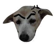 Dog ding dong