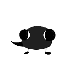 ruru_20250226140653